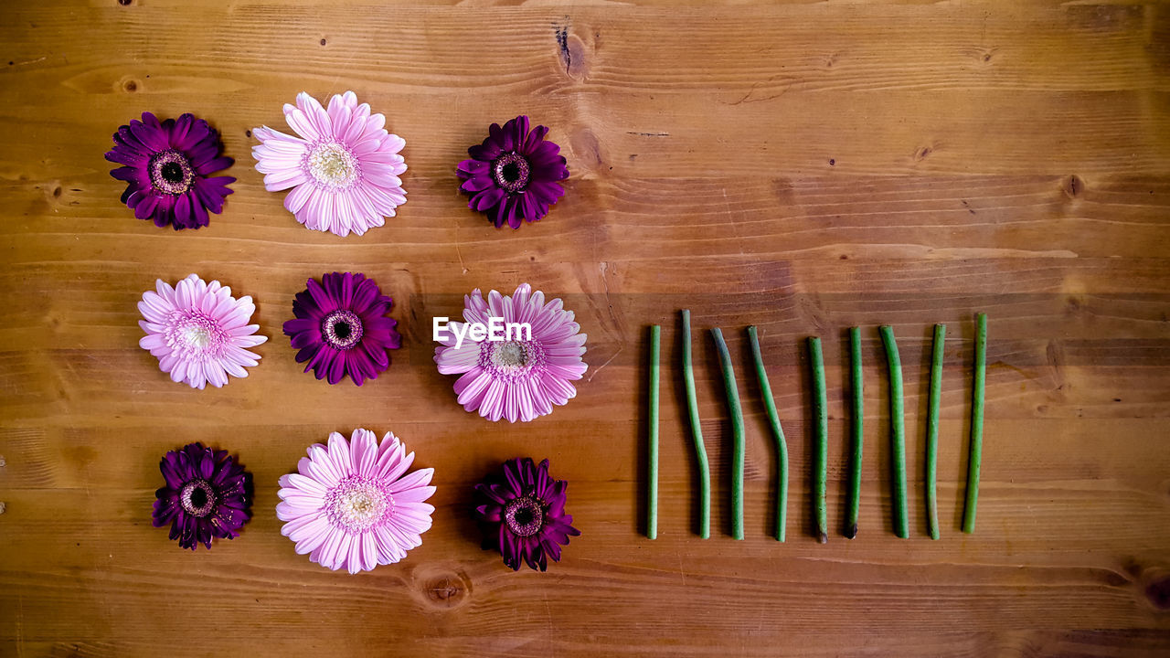 Directly above shot of pink and purple gerbera daisies on table