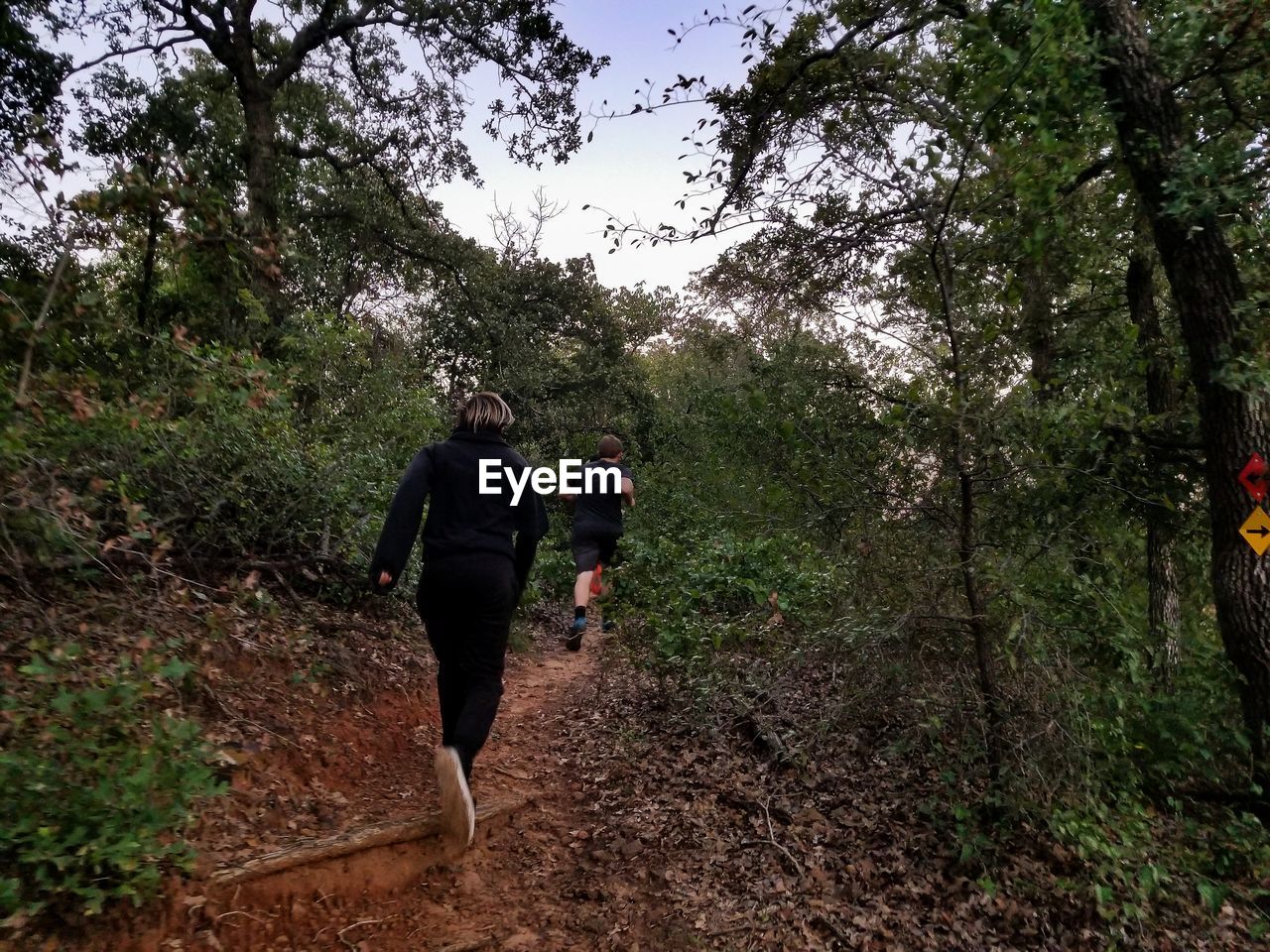 Rear view of people running amidst plants in forest