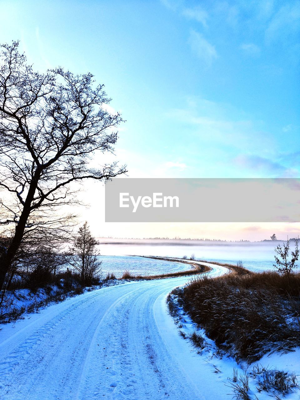 sky, snow, winter, cold temperature, tree, nature, scenics - nature, plant, beauty in nature, cloud, environment, road, landscape, tranquility, tranquil scene, no people, morning, blue, the way forward, sunlight, land, transportation, frozen, non-urban scene, horizon, outdoors, water, freezing, white, day, bare tree, diminishing perspective, travel, dusk