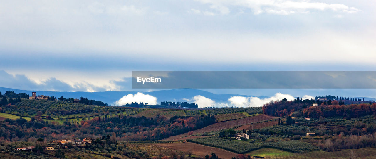 Tuscany hills rural countryside landscape, cypress passages and vineyards. wheat, olives cultivation