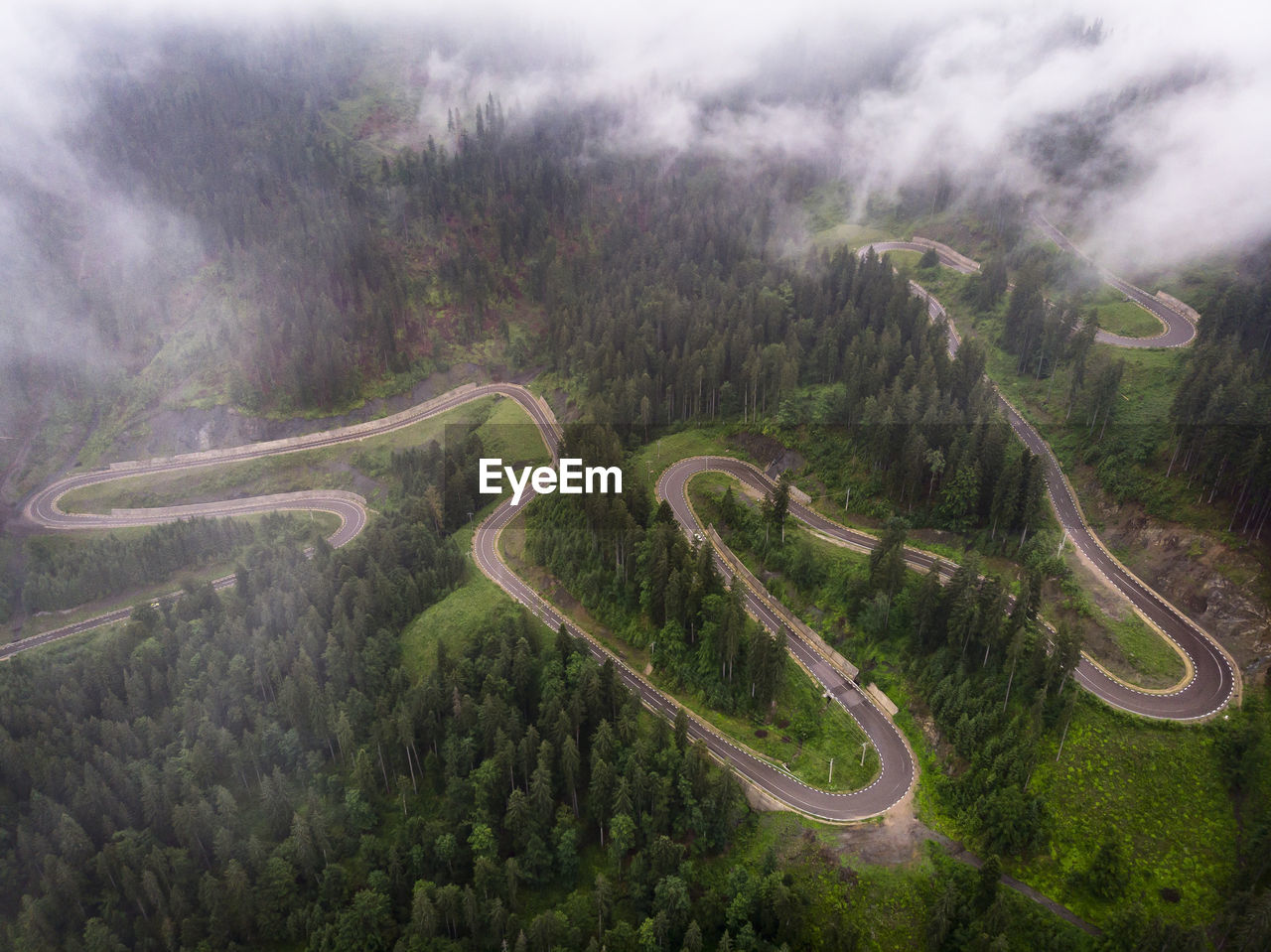 Aerial view of road by trees