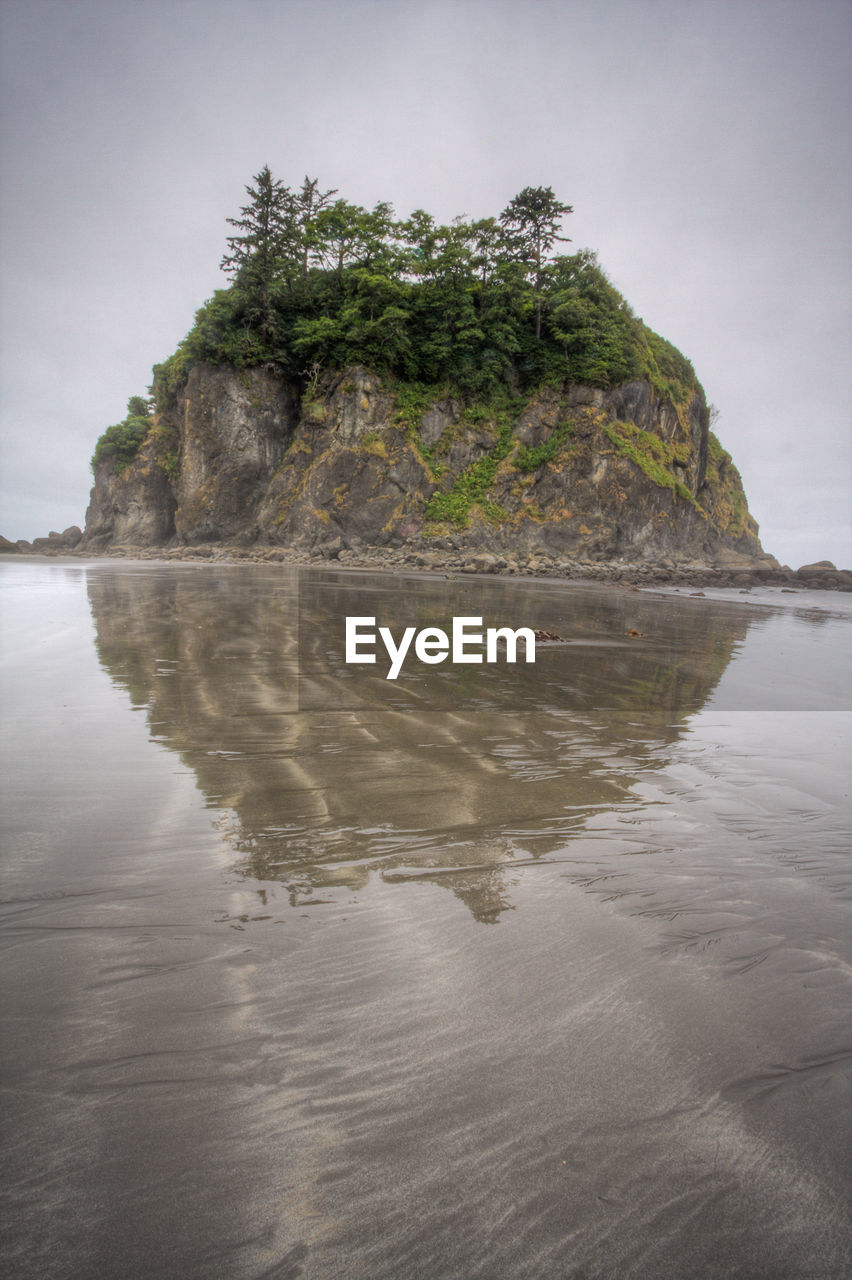 SCENIC VIEW OF SEA