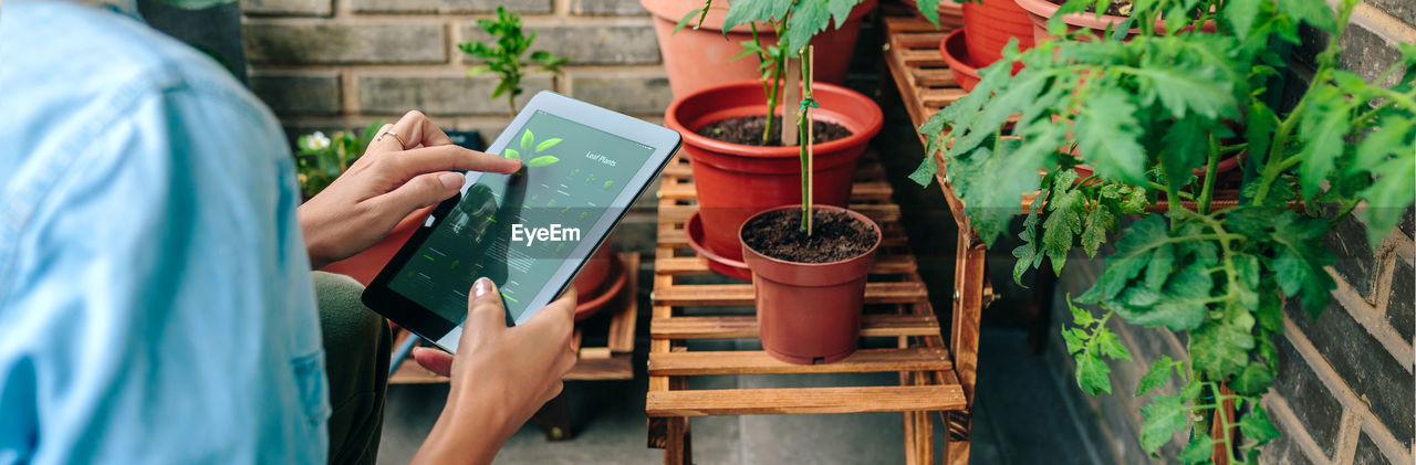 Woman using gardening app with artificial intelligence to care plants of urban garden on terrace