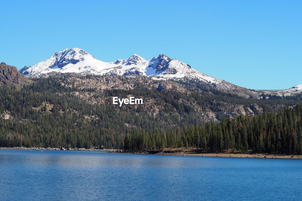 mountain, snow, scenics - nature, beauty in nature, cold temperature, tree, winter, sky, wilderness, lake, mountain range, snowcapped mountain, plant, water, landscape, environment, nature, pine tree, tranquil scene, blue, no people, tranquility, forest, coniferous tree, land, pinaceae, pine woodland, clear sky, travel destinations, non-urban scene, day, travel, mountain peak, outdoors, idyllic, tourism, reflection