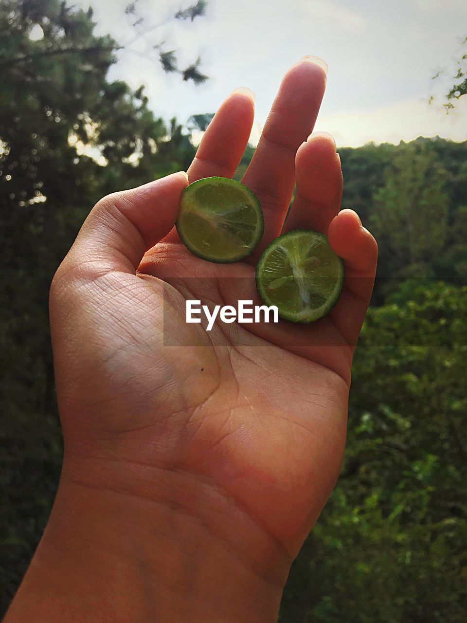 CROPPED IMAGE OF PERSON HOLDING FRUIT