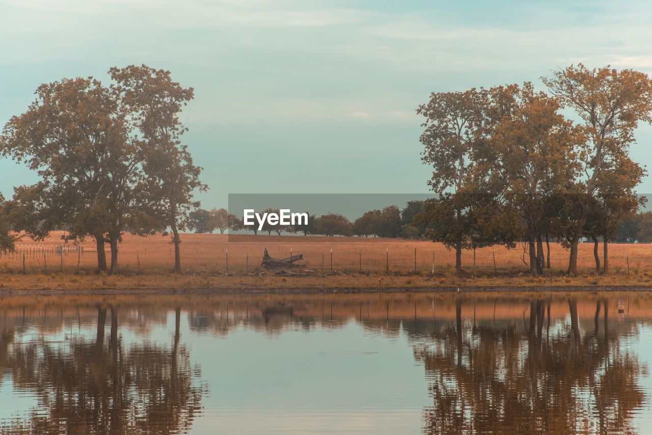 Reflection of trees in lake against sky