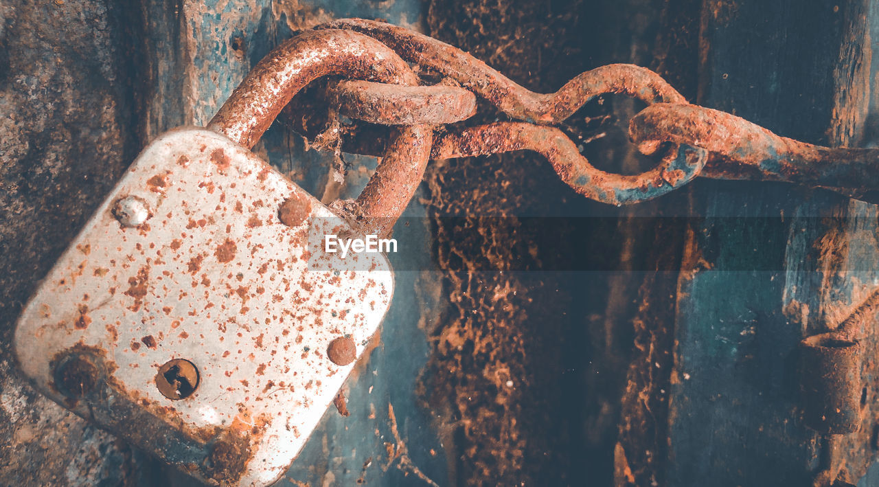 Close-up of rusty metal chain and lock 
on tree trunk