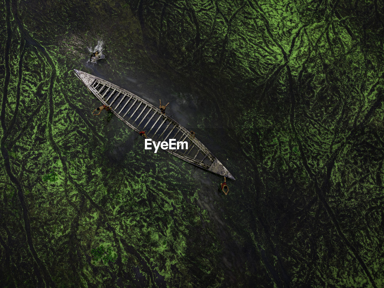 High angle view of a bird in lake where children plays