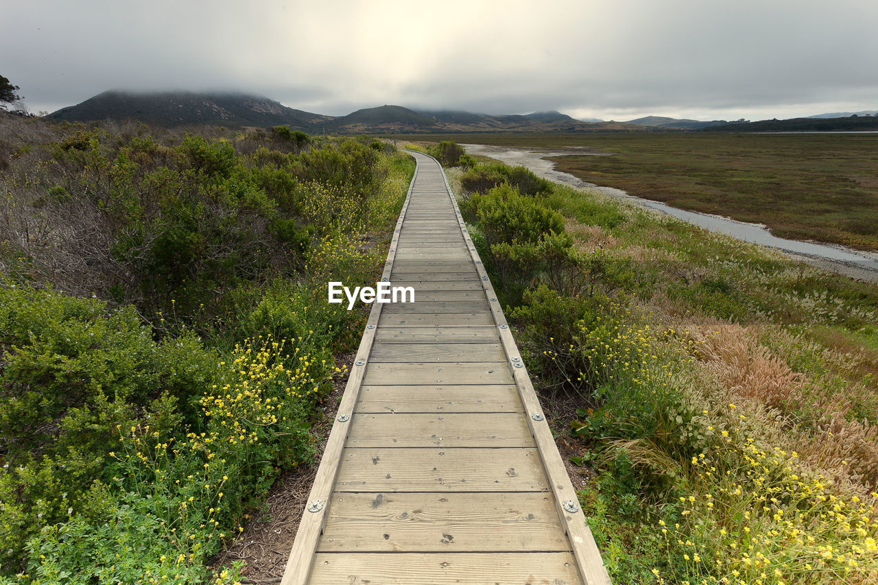 Boardwalk over grassy field at morro bay state park