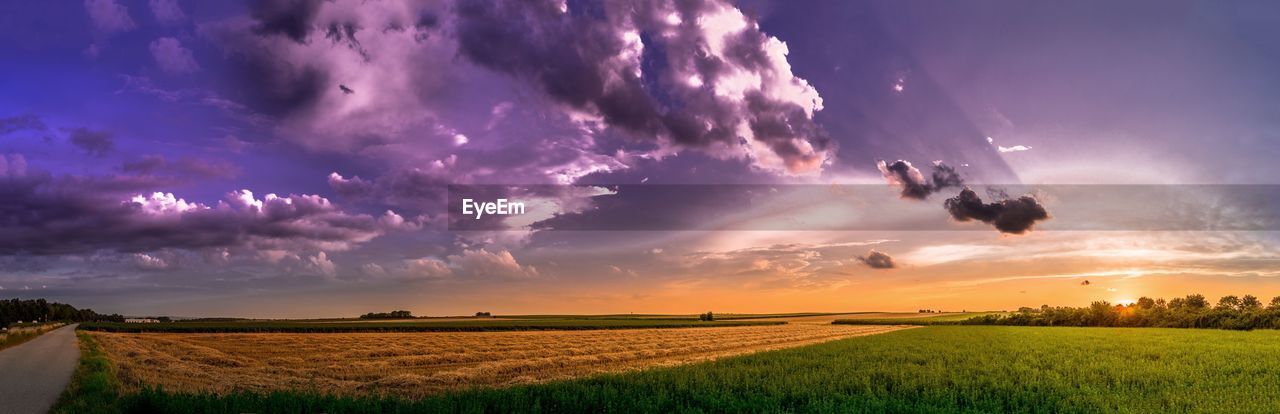 Scenic view of agricultural field against sky during sunset