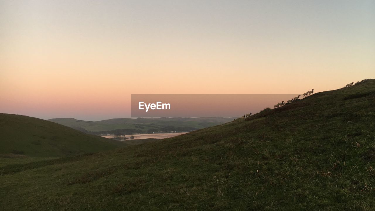 SUNSET OVER LANDSCAPE