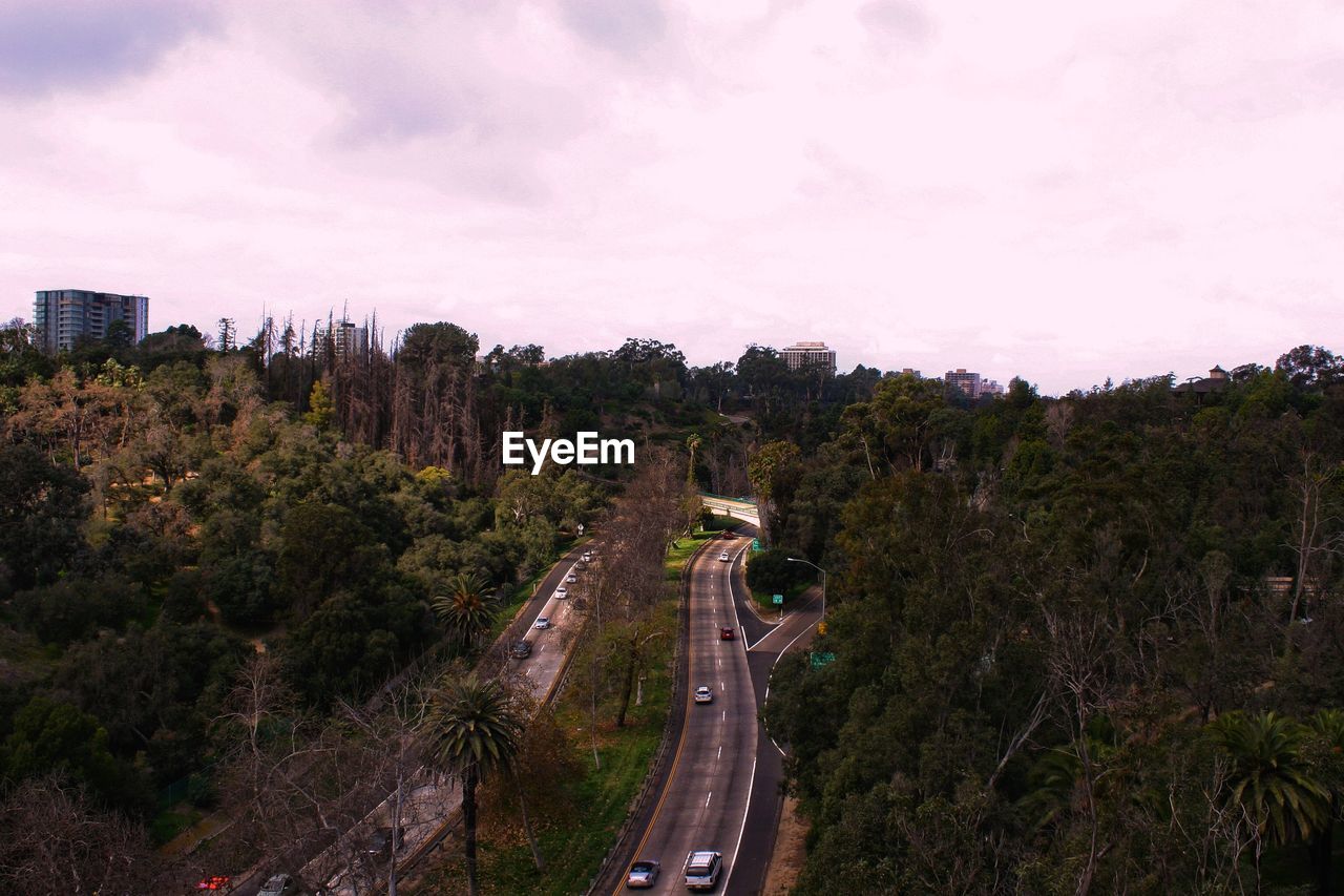 High angle view of road amidst trees against sky