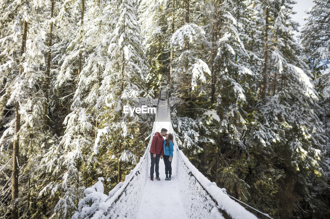 Couple kissing while standing on footbridge amidst trees in forest at lynn canyon park during winter