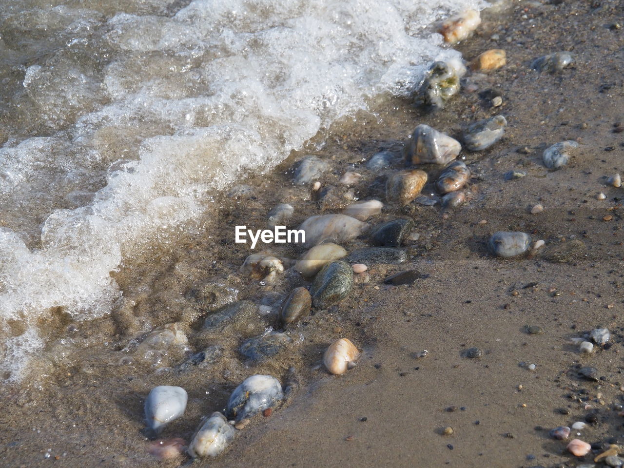 land, beach, sand, high angle view, nature, no people, day, rock, water, sea, wildlife, animal, outdoors, wet, animal wildlife, beauty in nature, shell, animal themes, geology, seashell, tranquility, sunlight