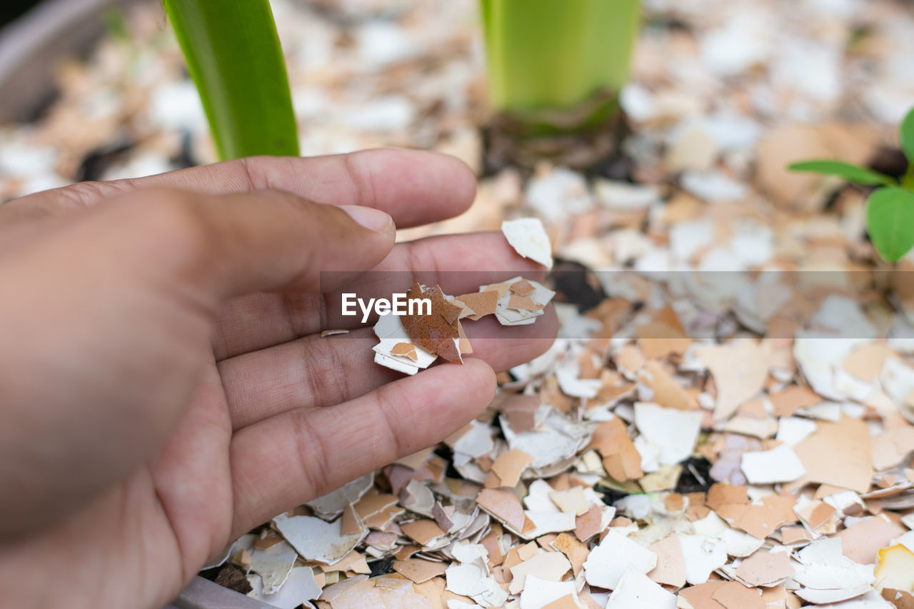 cropped hand of person holding jigsaw pieces