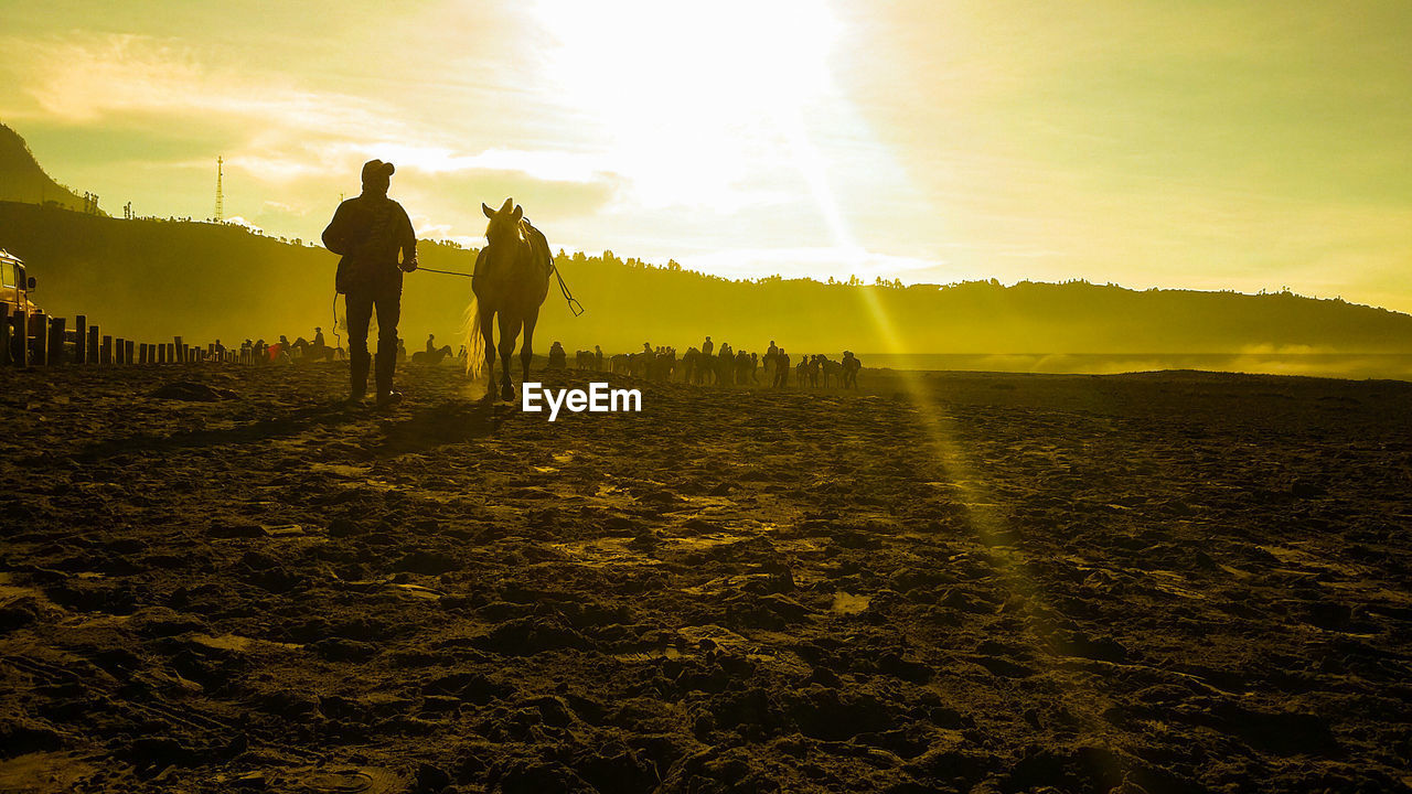 People with horses on field at sunset