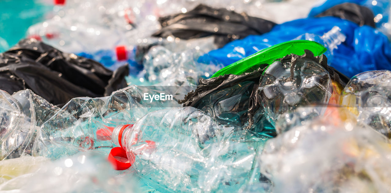 CLOSE-UP OF FISH IN WATER AT MARKET