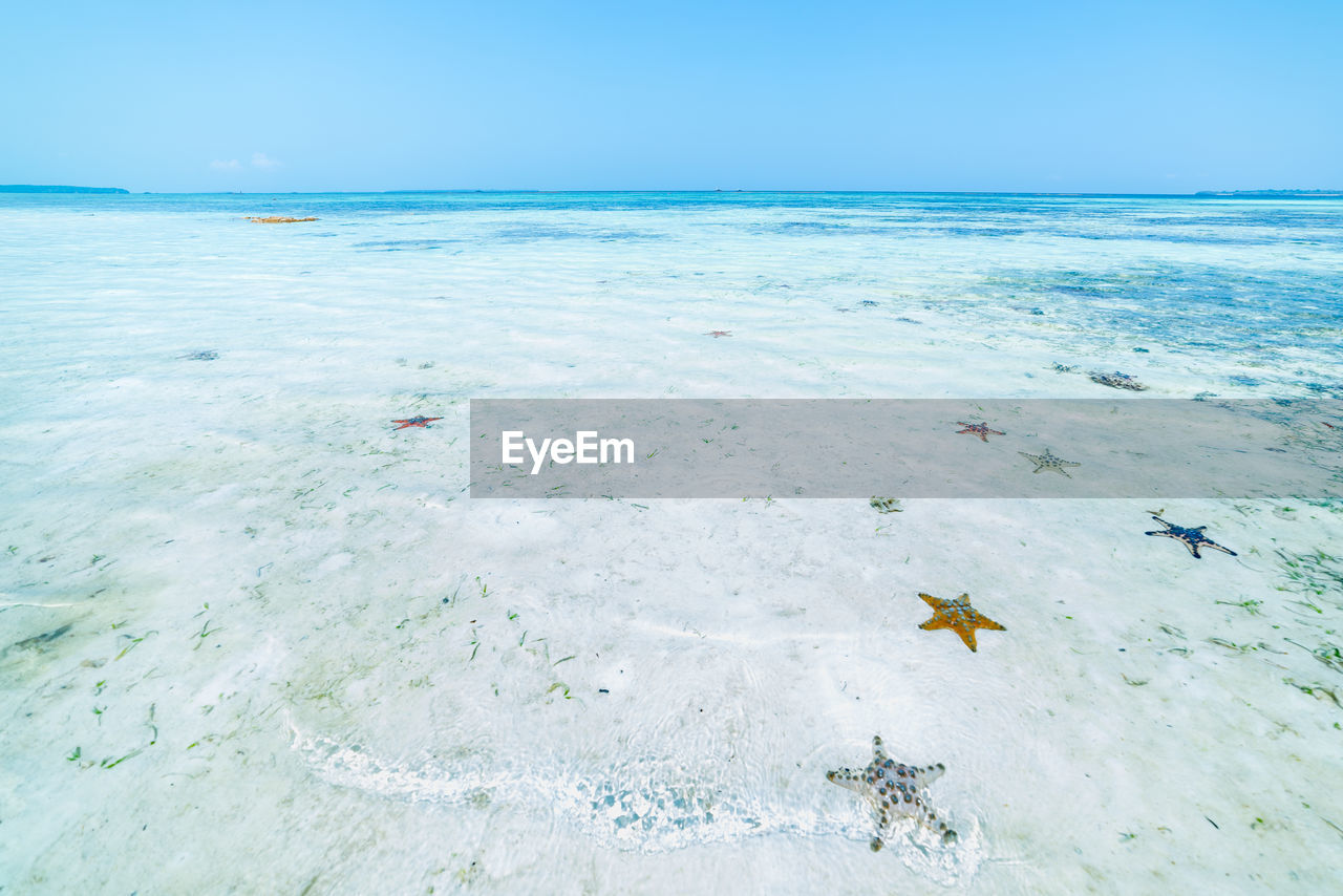 SCENIC VIEW OF BEACH AGAINST BLUE SKY