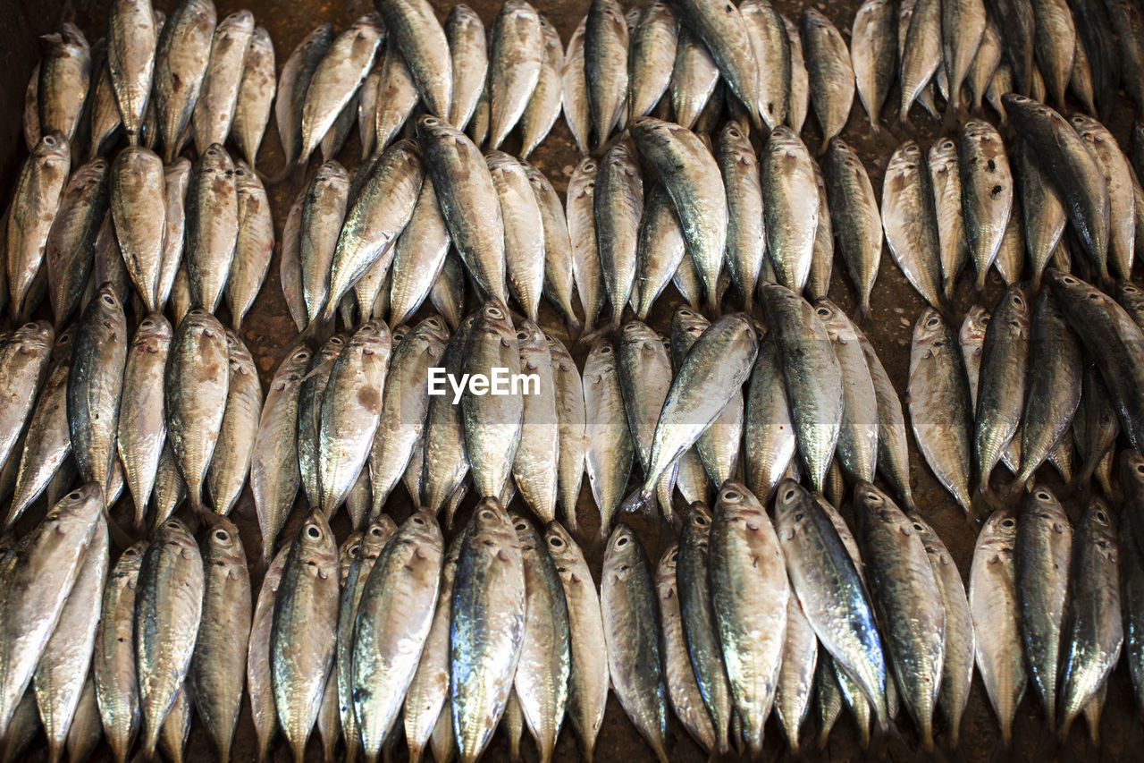 Full frame shot of fish for sale in market