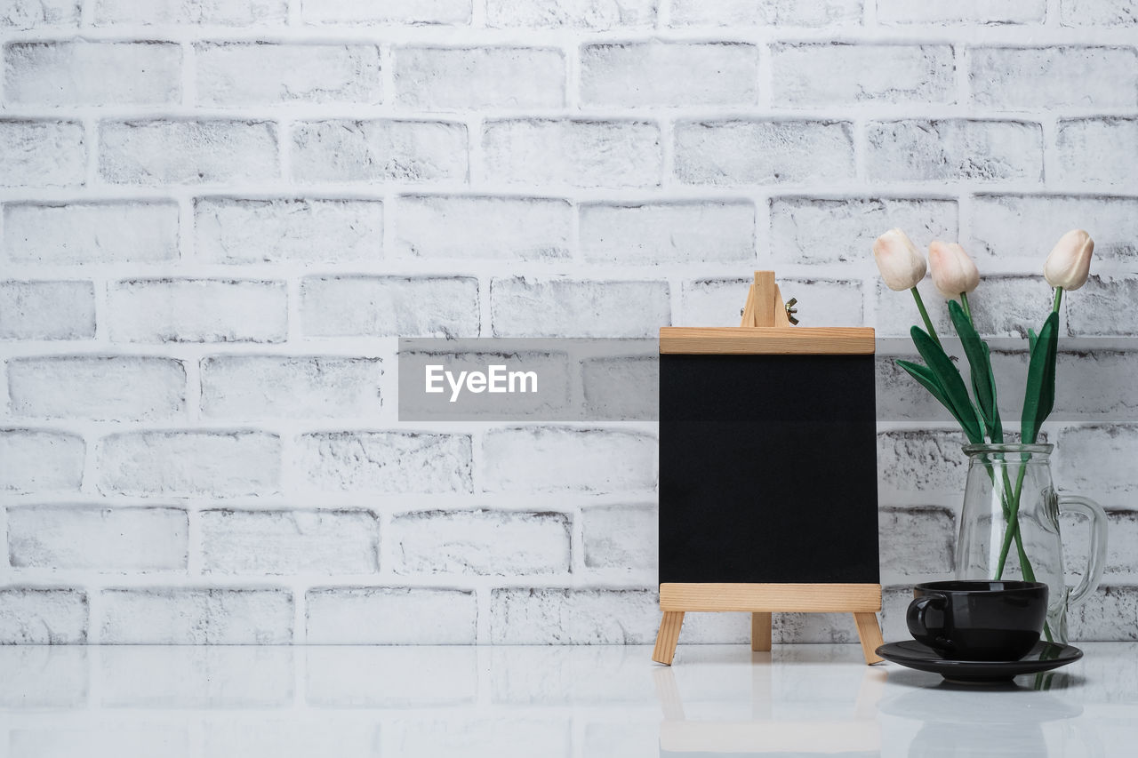 Potted plant against white wall