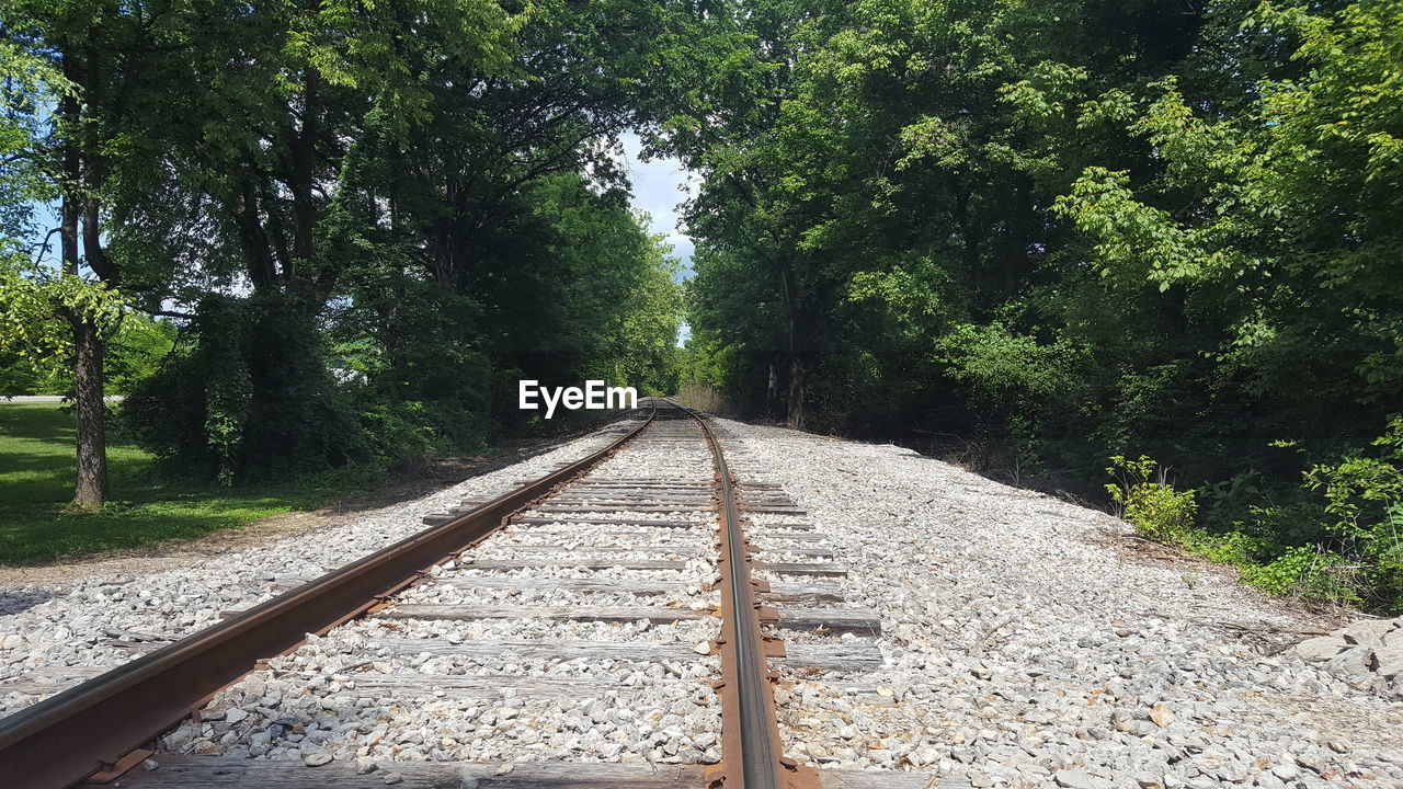 RAILWAY TRACKS ALONG TREES