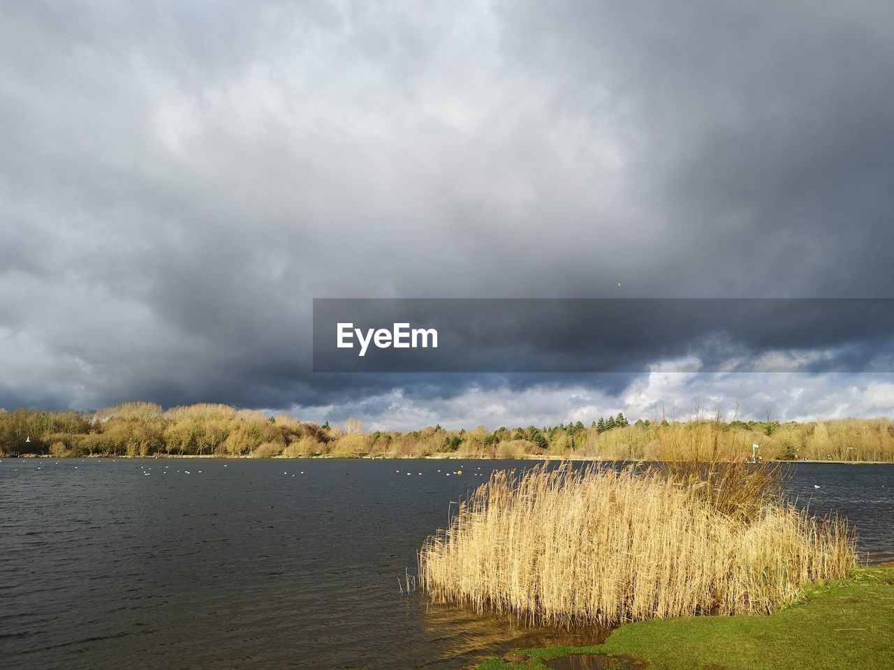 PANORAMIC VIEW OF LAND AGAINST SKY