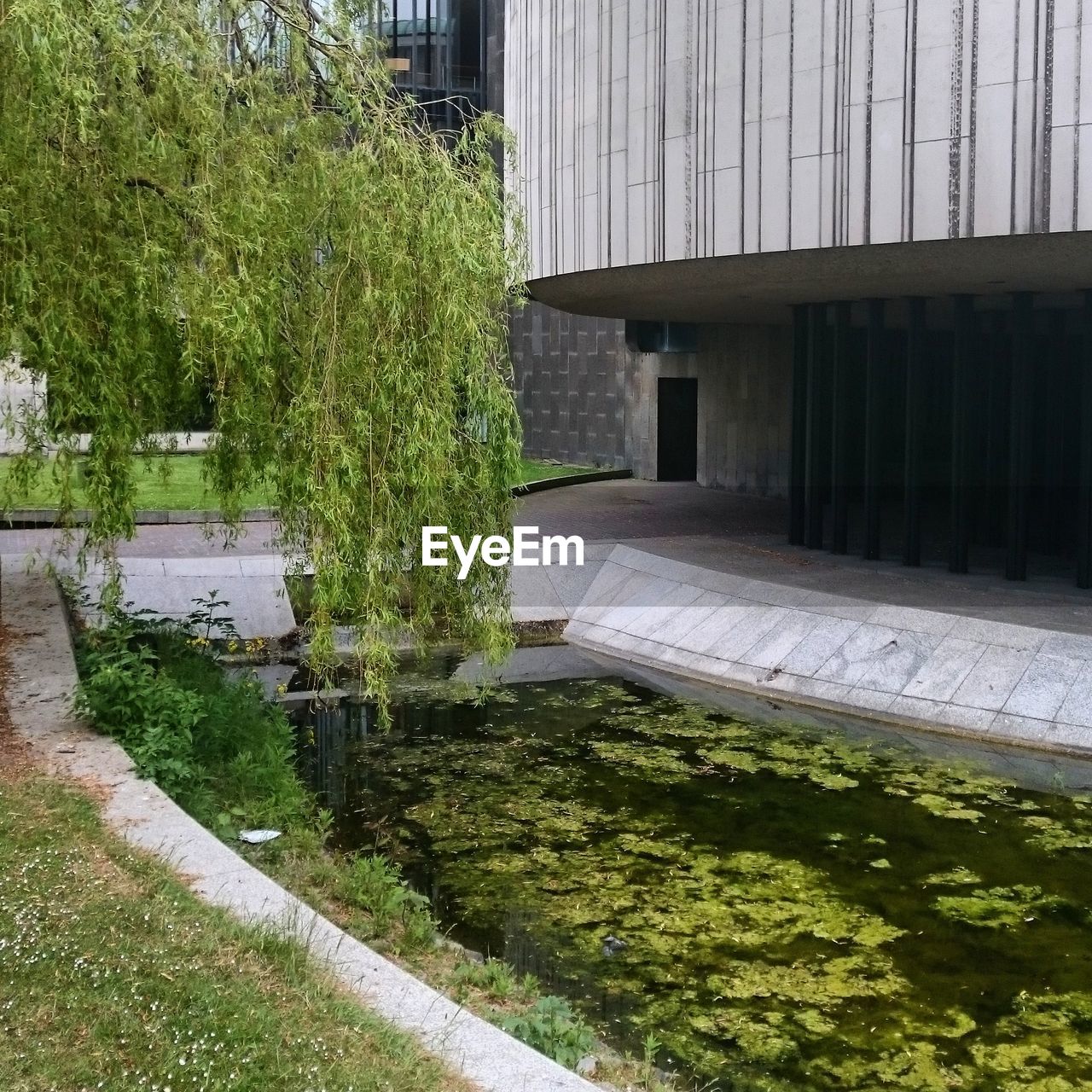 SCENIC VIEW OF GRASS AND PLANTS