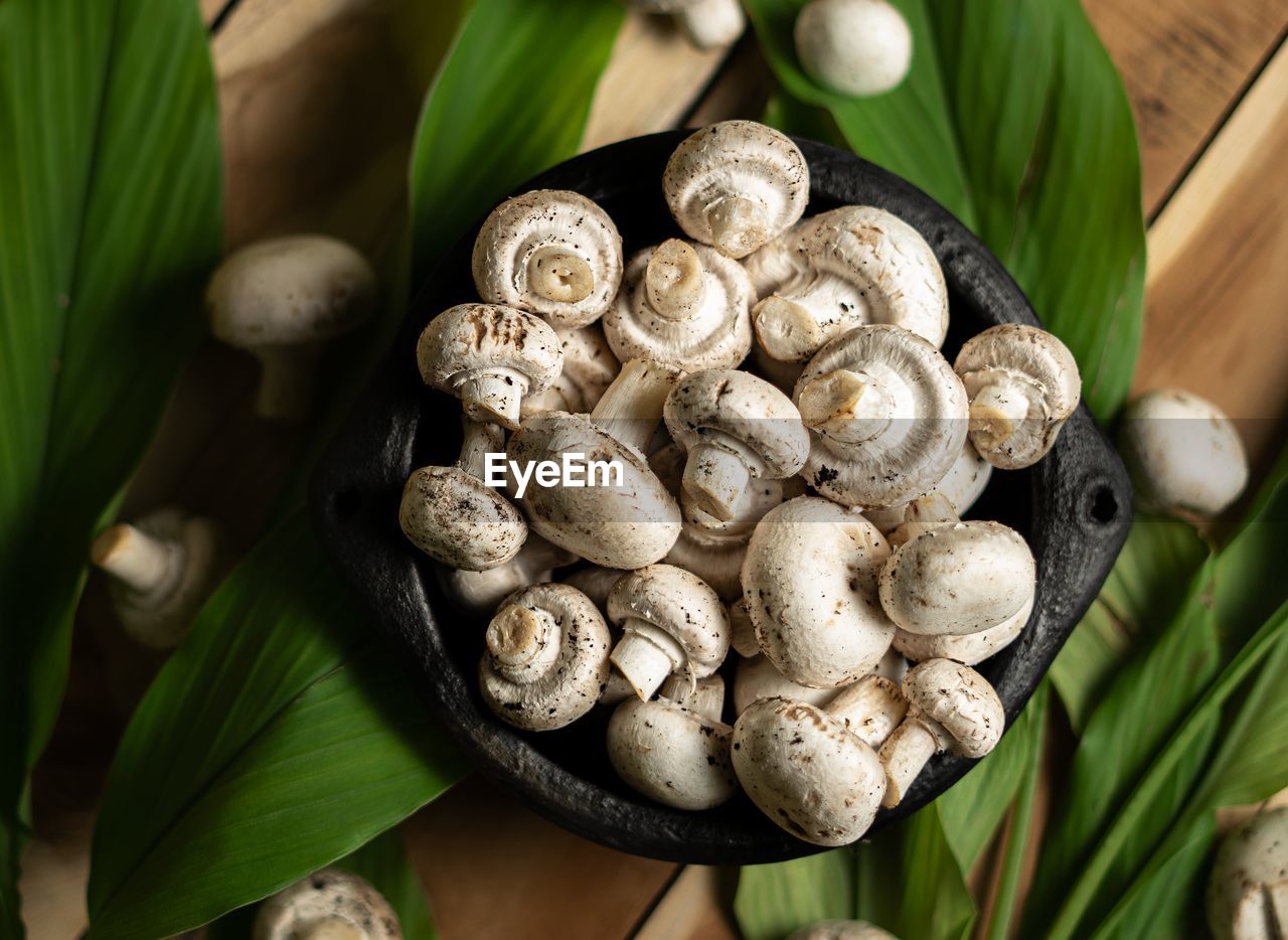 CLOSE-UP OF MUSHROOMS AND LEAVES
