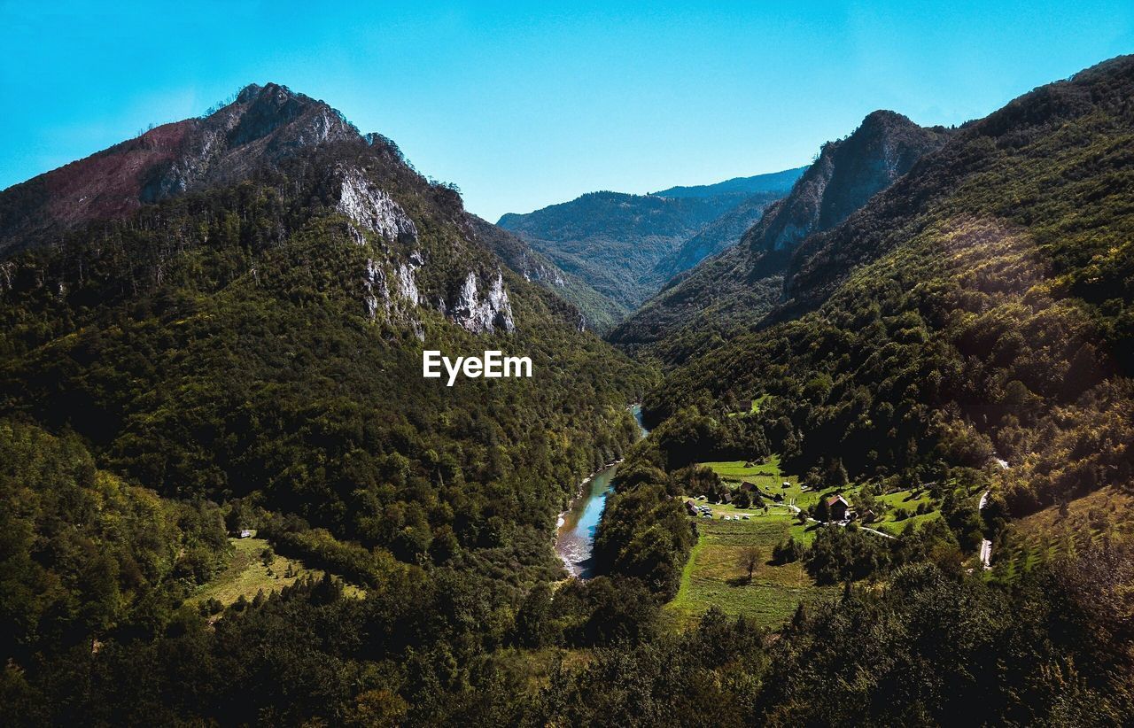 LOW ANGLE VIEW OF TREES AGAINST MOUNTAINS