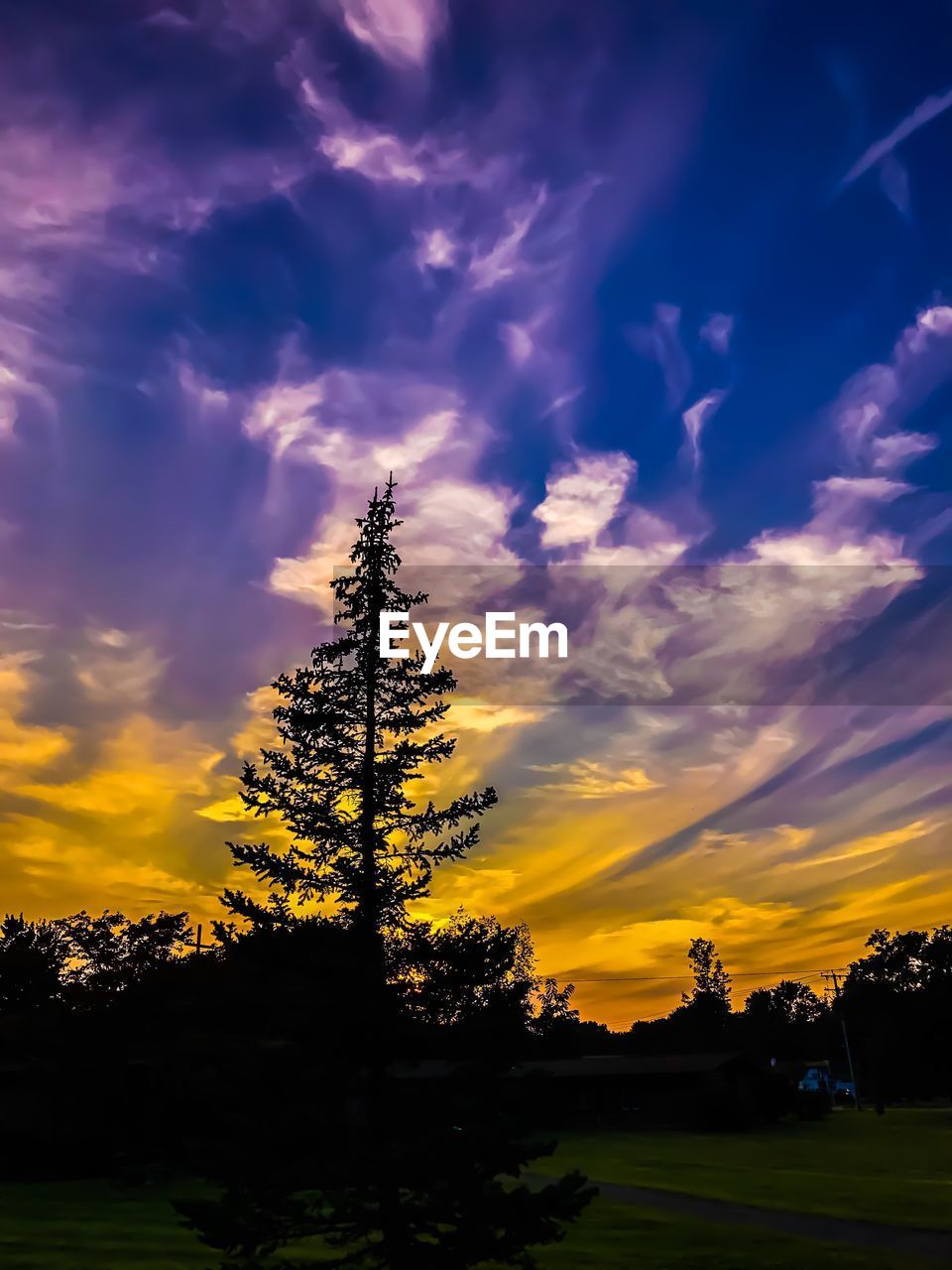 SILHOUETTE TREES ON LANDSCAPE AGAINST SKY