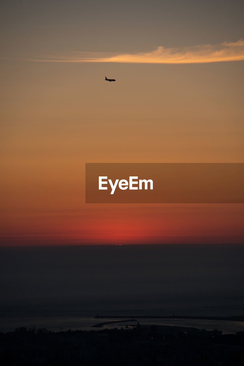 SILHOUETTE BIRD FLYING AGAINST ORANGE SKY