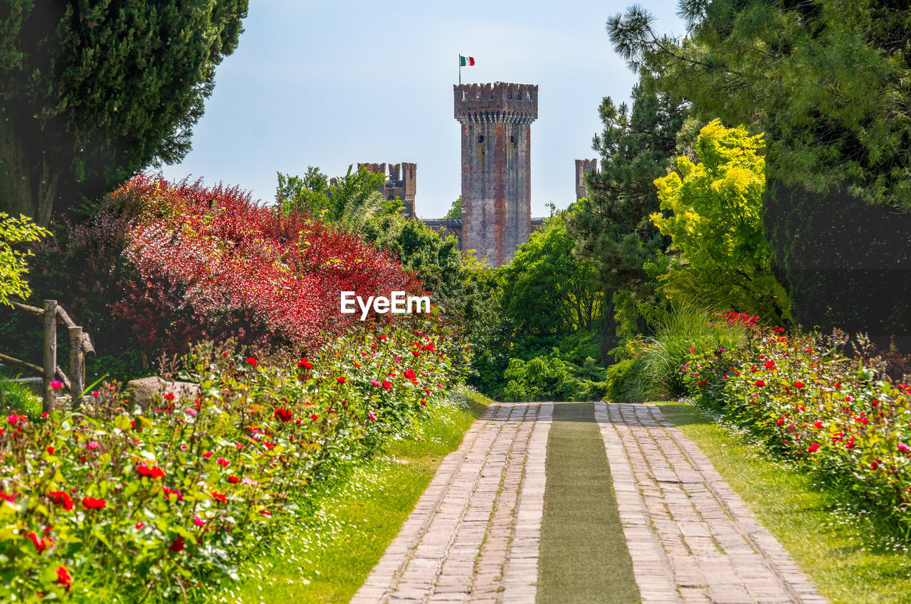 VIEW OF FLOWERING PLANTS IN PARK