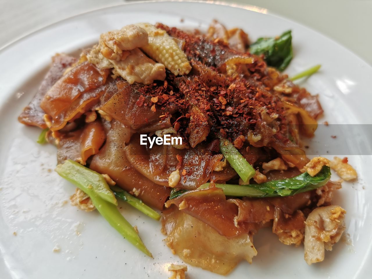 HIGH ANGLE VIEW OF FRIED MEAT IN PLATE