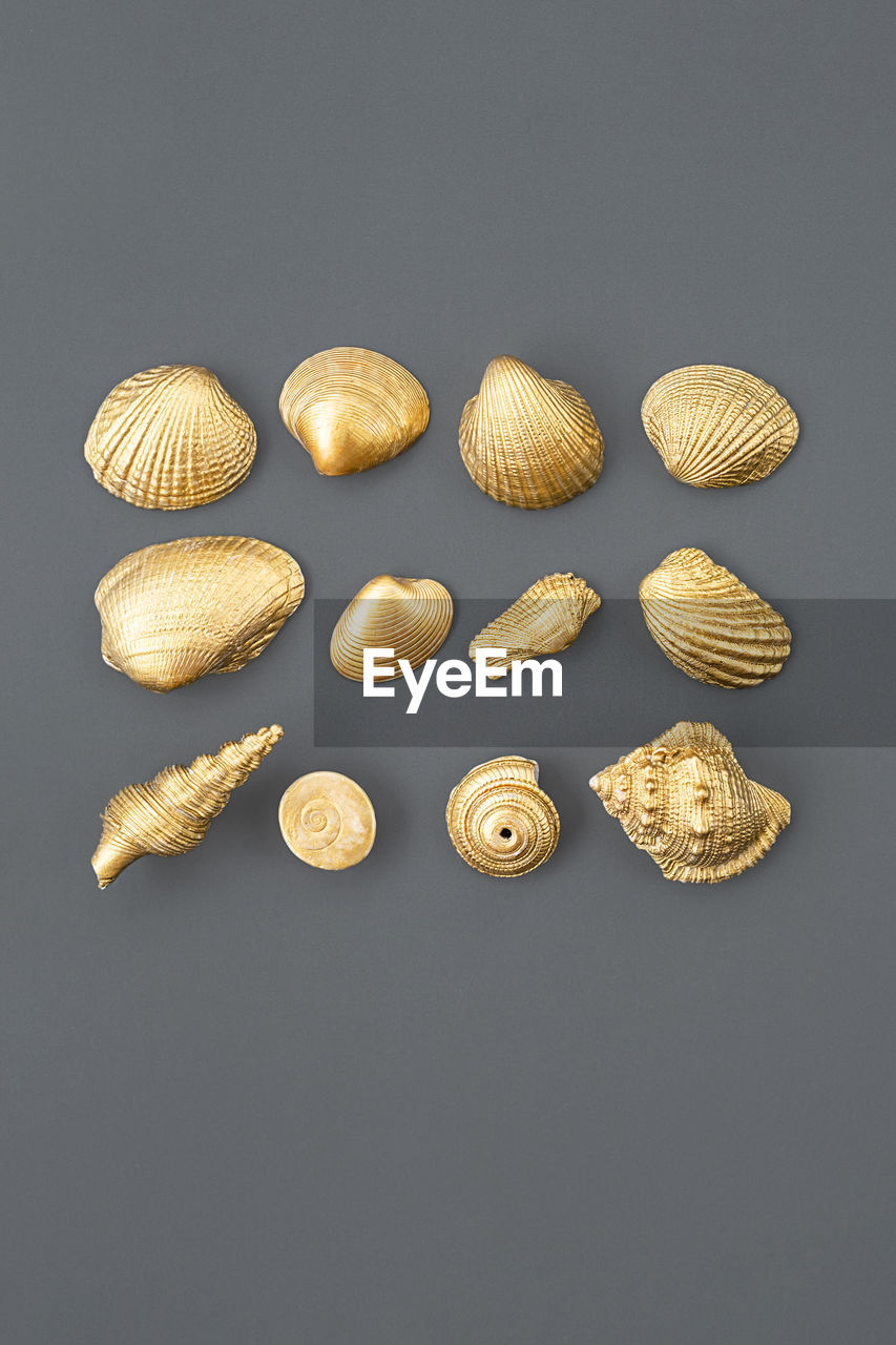 Golden shells arranging on grey.