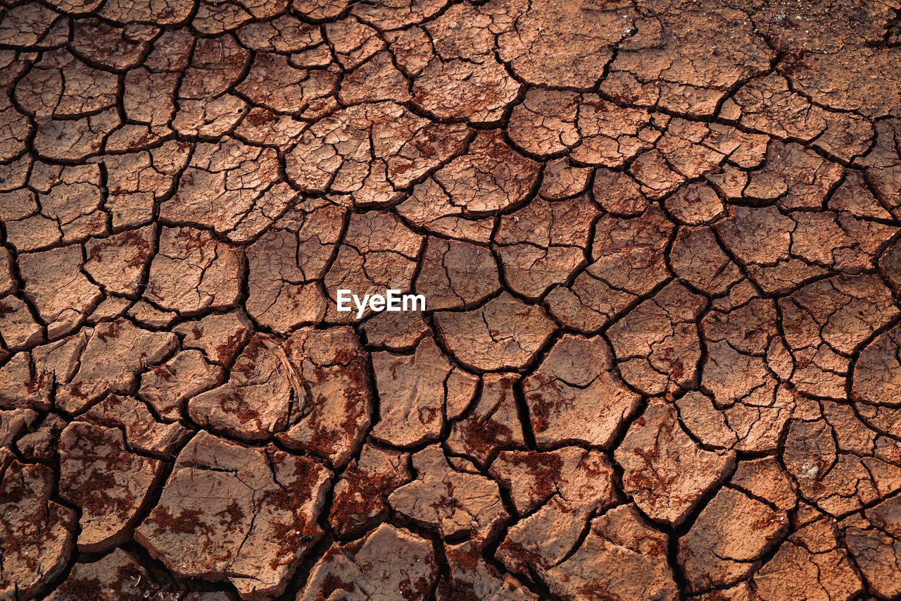 FULL FRAME SHOT OF CRACKED LAND WITH DRY LEAF