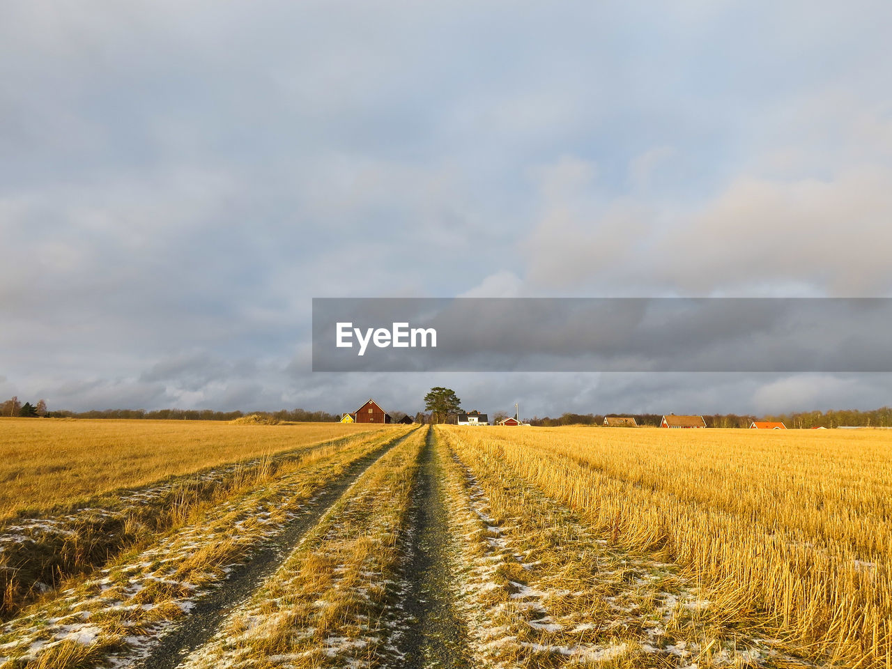 Agricultural field against cloudy sky