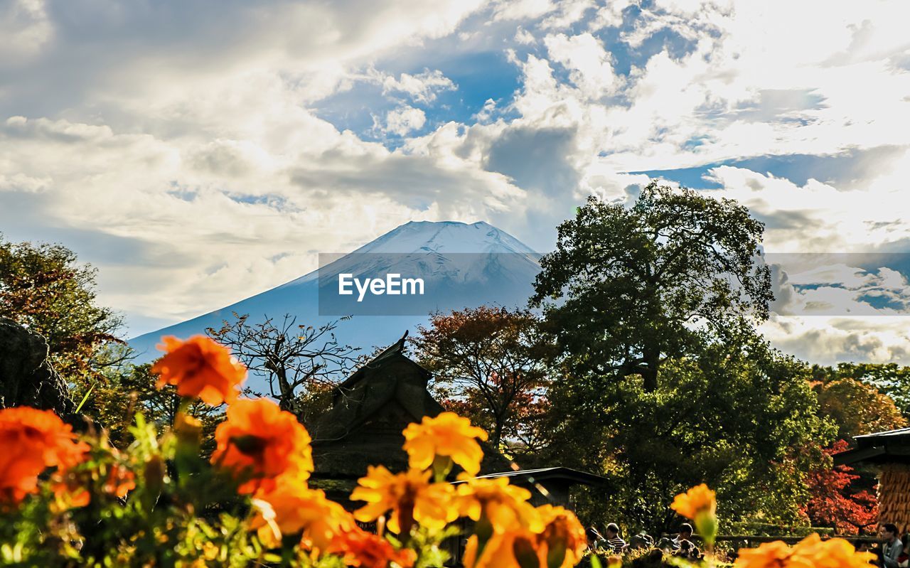 Trees and mountains against cloudy sky