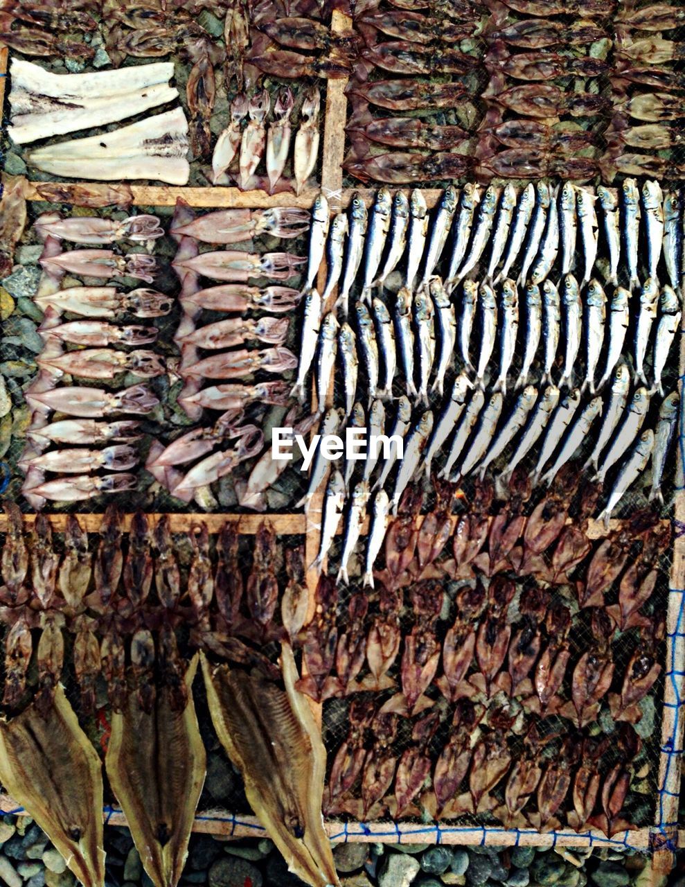 High angle view of dried fish