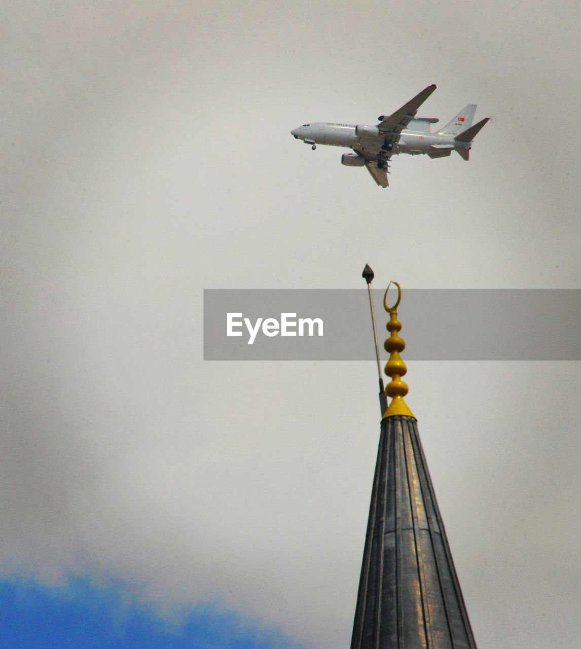 LOW ANGLE VIEW OF BIRDS FLYING IN SKY