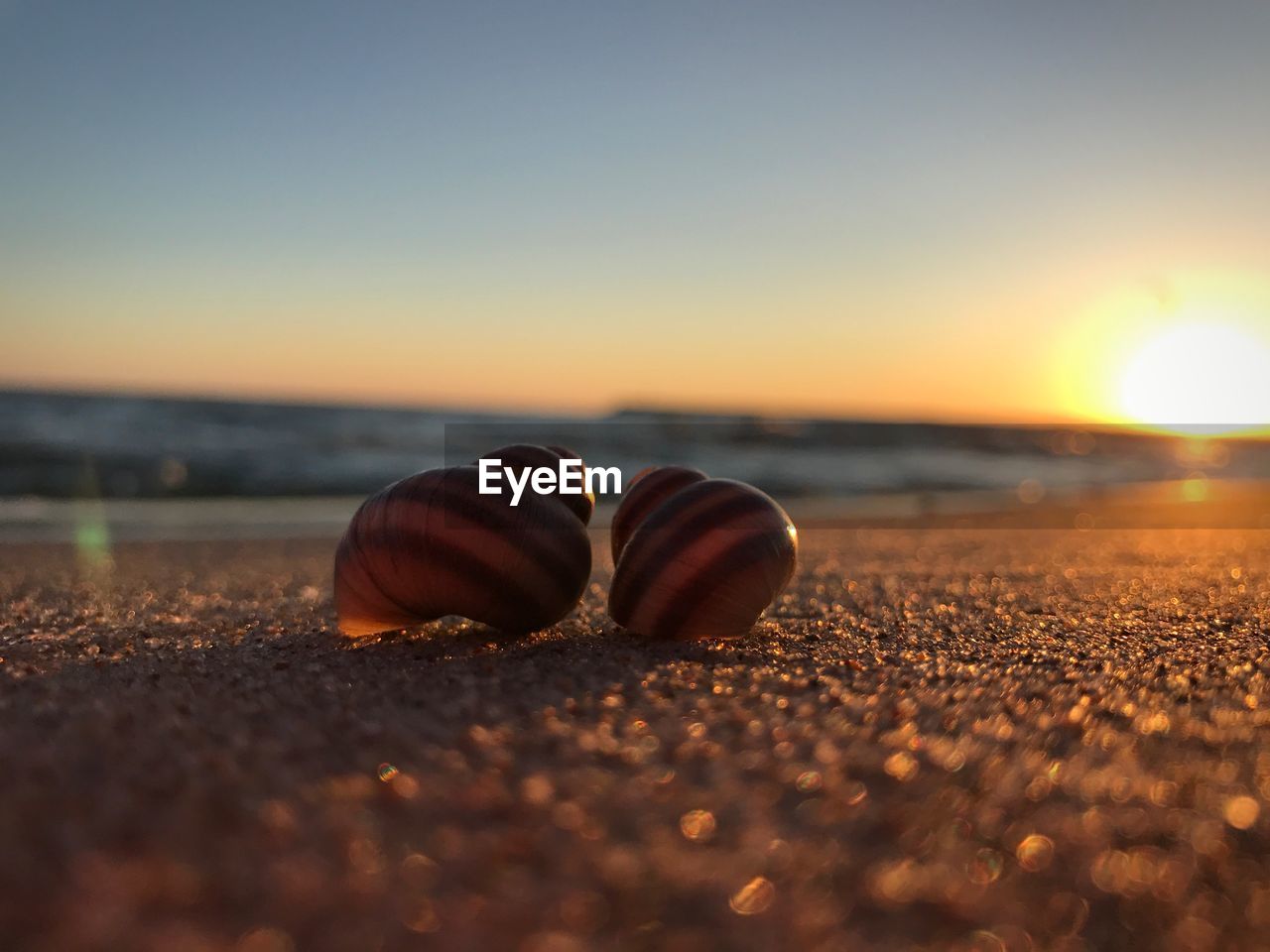 CLOSE-UP OF SAND ON BEACH AGAINST SKY DURING SUNSET