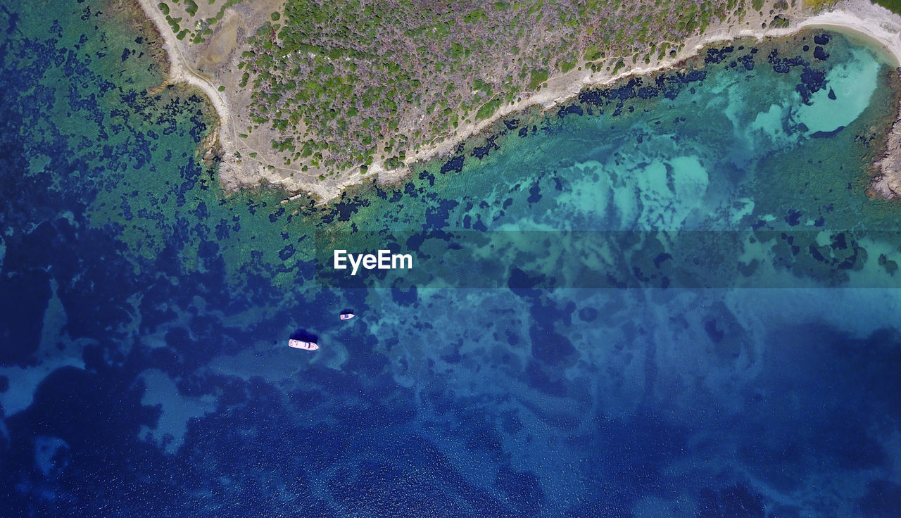 HIGH ANGLE VIEW OF BEACH AND TREES