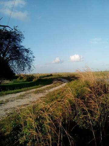 SCENIC VIEW OF LANDSCAPE AGAINST CLOUDY SKY