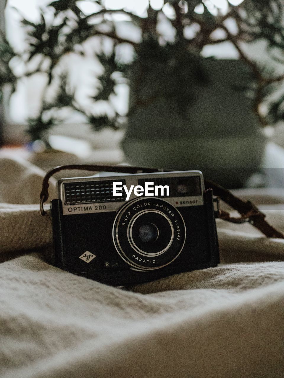 CLOSE-UP OF CAMERA ON TREE AGAINST WALL