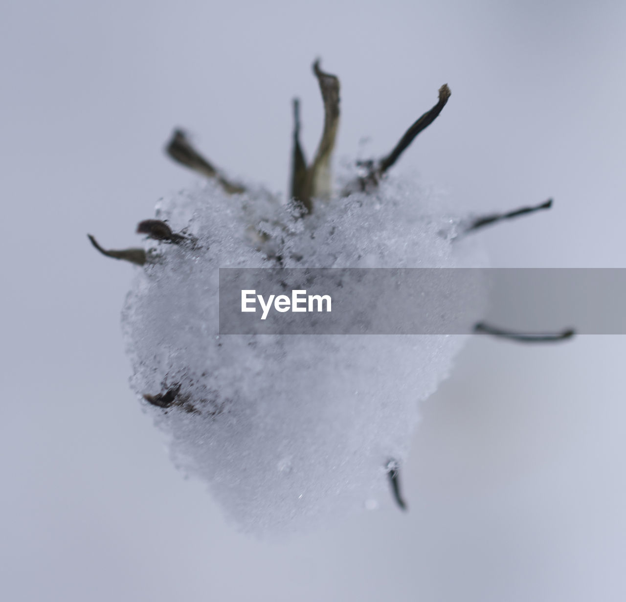 VIEW OF SNOW COVERED LANDSCAPE