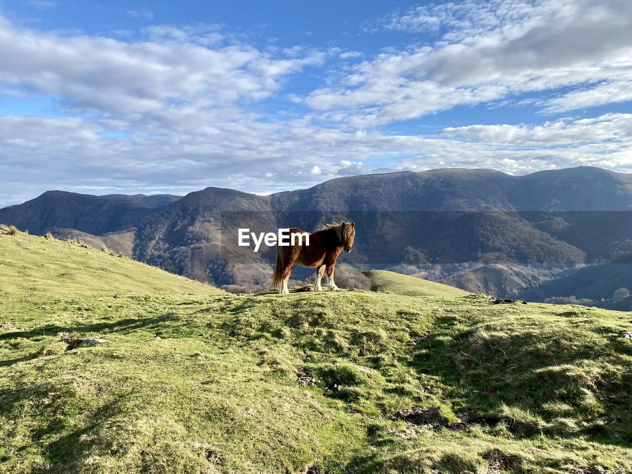 Rear view of man walking on mountain against sky