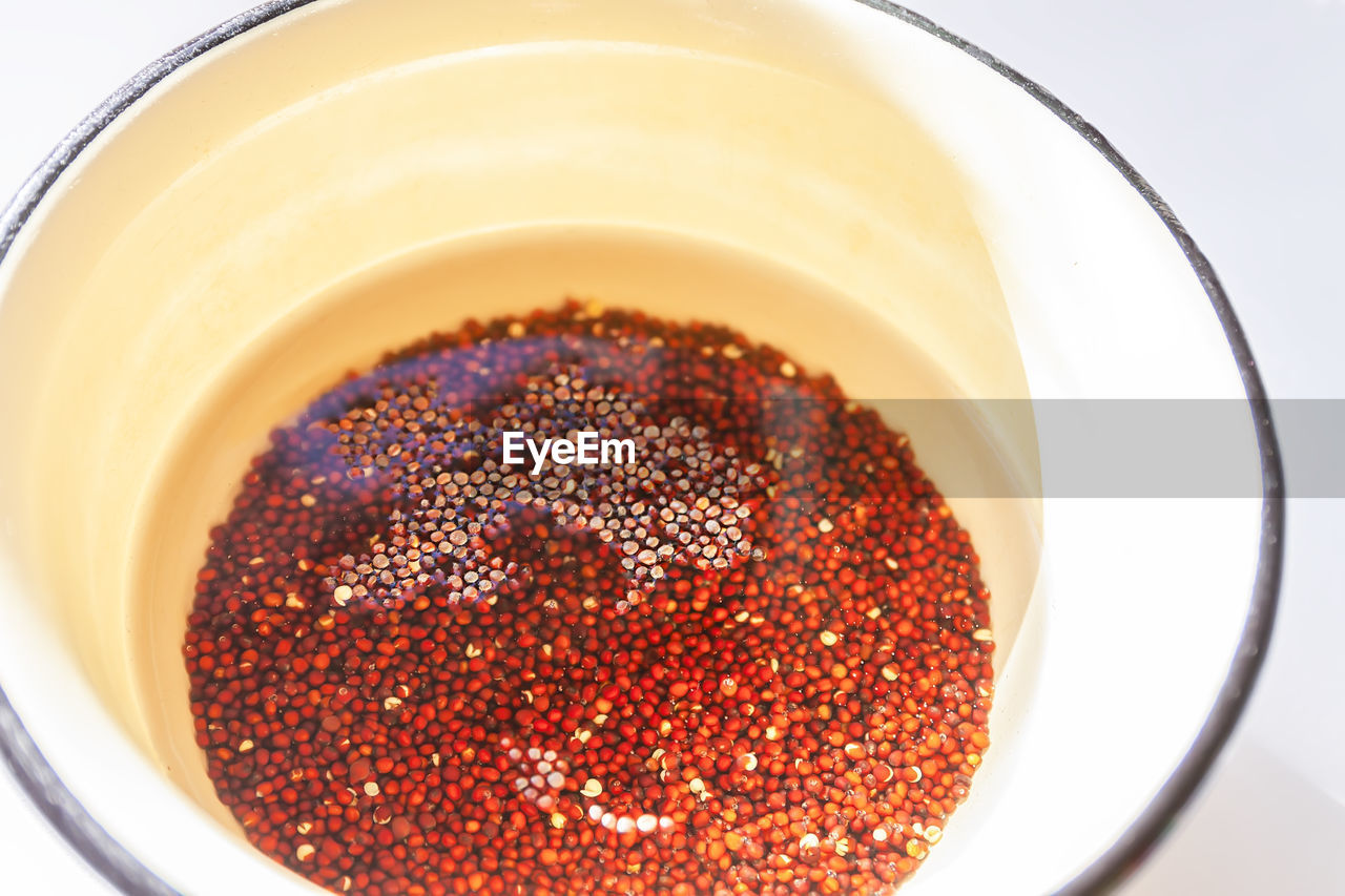 Microgreens seeds soaked in water. preparation of seeds for germination at home.