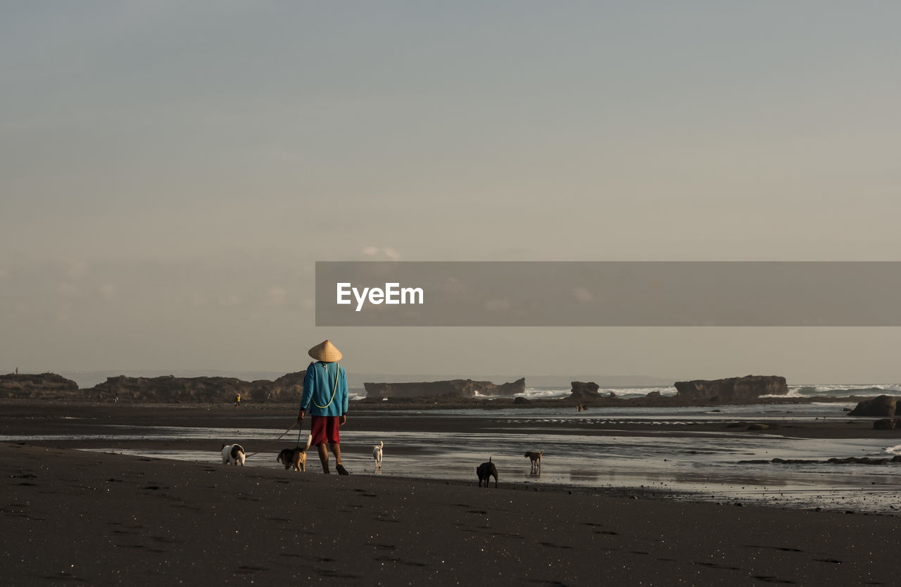 Rear view of man with dogs walking at beach against sky