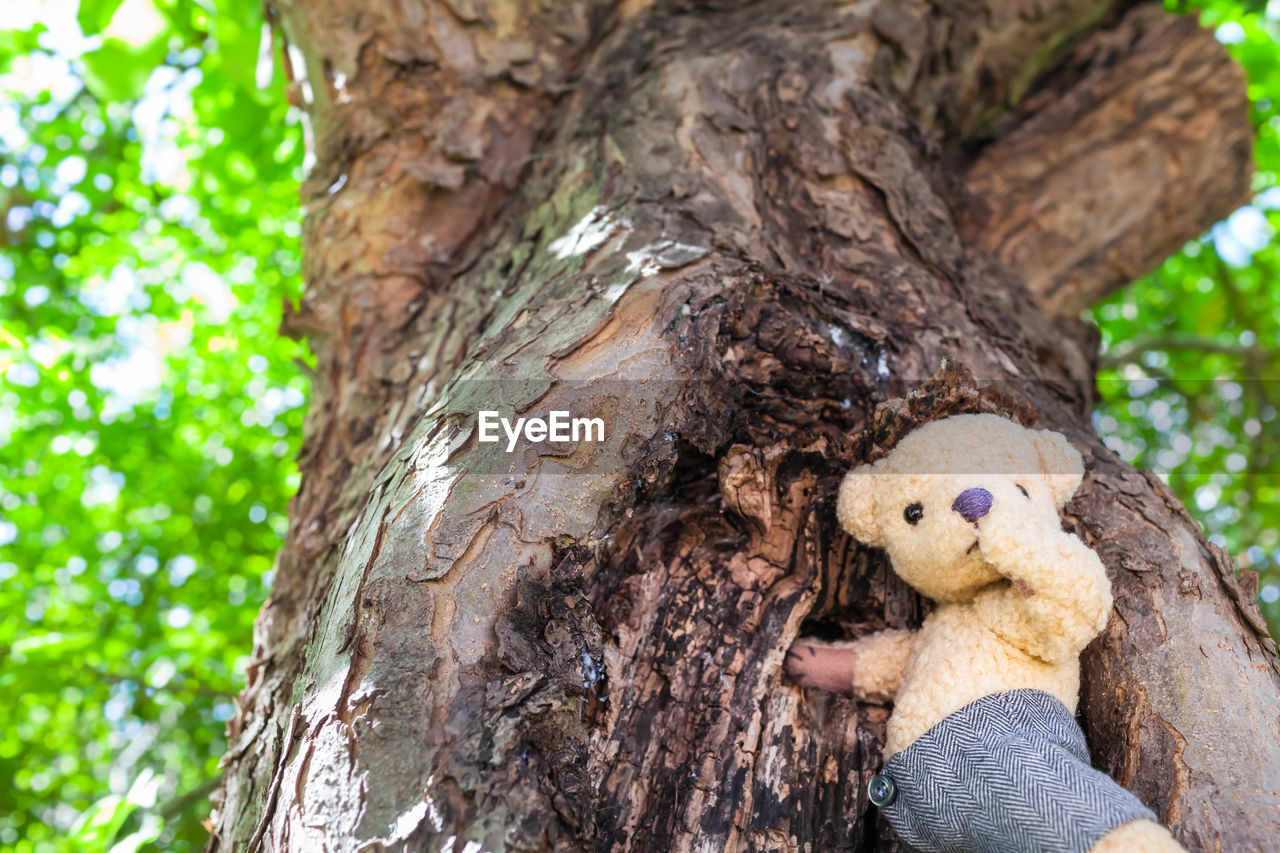 CLOSE-UP OF STUFFED TOY TREE