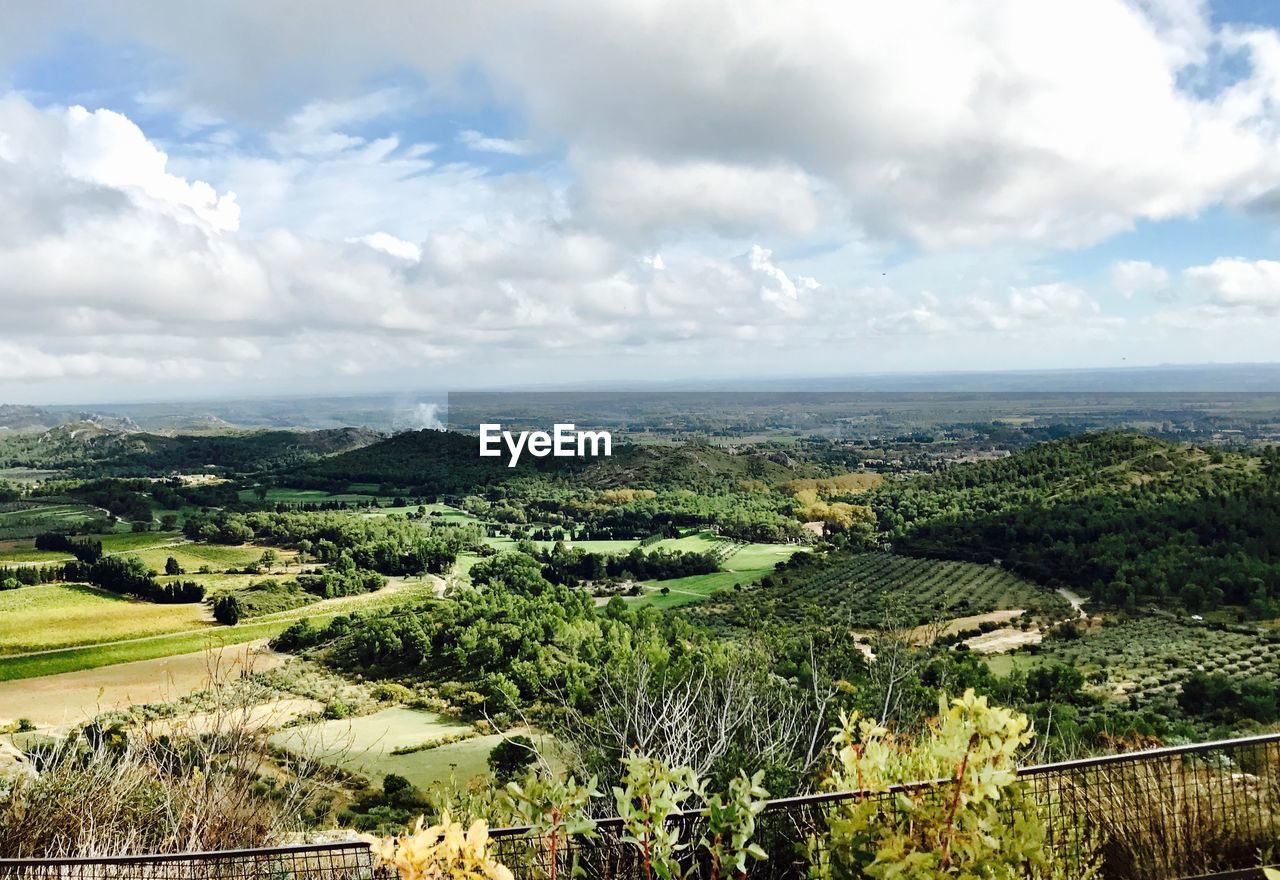 Scenic view of agricultural field against sky