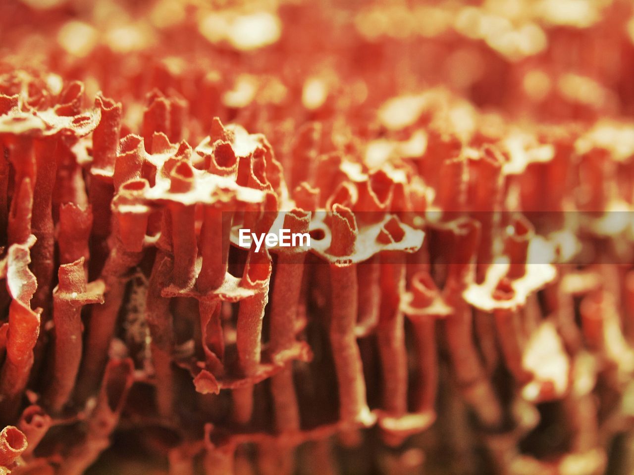 FULL FRAME SHOT OF RED BACKGROUND